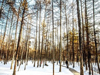 跟團亞布力雪鄉(xiāng)旅游價格表_亞布力雪鄉(xiāng)報團多少錢_亞布力雪鄉(xiāng)游花多少錢
