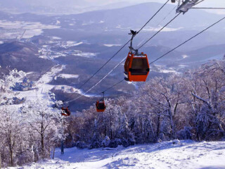 亞布力雪鄉(xiāng)旅行跟團_跟團亞布力雪鄉(xiāng)旅游價格表_去亞布力雪鄉(xiāng)旅游怎么走