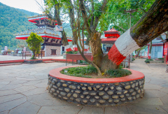 景点模块 