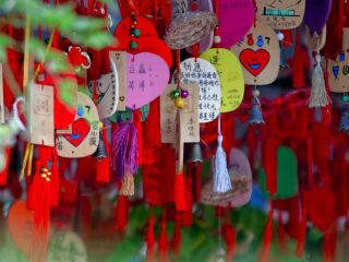 云南玉龍雪山旅游需要多少錢_旅行團(tuán)云南玉龍雪山游_云南玉龍雪山旅游組團(tuán)