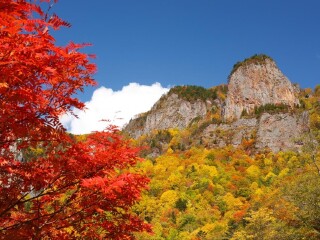 北海道双飞旅游价格_以往国庆北海道游价格_北海道最适合旅游的季节