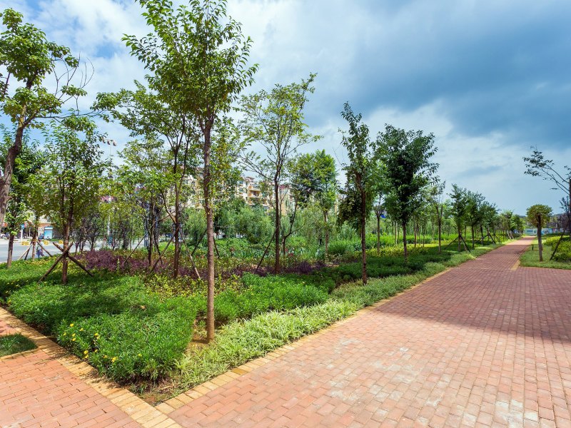 昆明沧龙D家公寓(古渡口路分店)