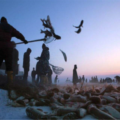 景点模块 