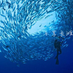 活动模块 