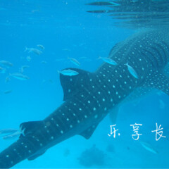 活动模块 