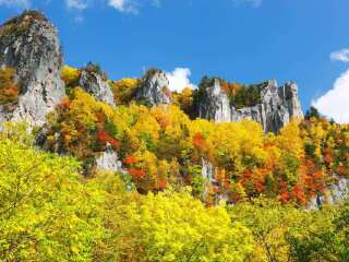 北海道双飞旅游价格_以往国庆北海道游价格_北海道最适合旅游的季节