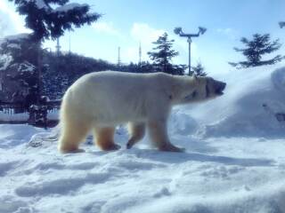 北海道双飞旅游价格_以往国庆北海道游价格_北海道最适合旅游的季节