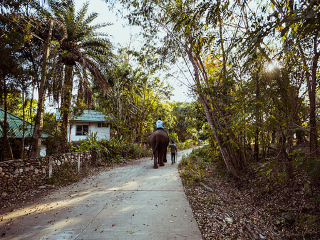 去清迈旅游签证怎么办_旅游团清迈_去清迈旅游哪家好