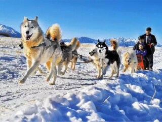 新疆喀納斯旅游價格多少跟團_到新疆喀納斯旅游報團價格_跟團新疆喀納斯旅游價格表