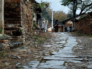 云南玉龍雪山旅行跟團(tuán)_云南玉龍雪山游花多少錢_云南玉龍雪山游跟團(tuán)多少錢