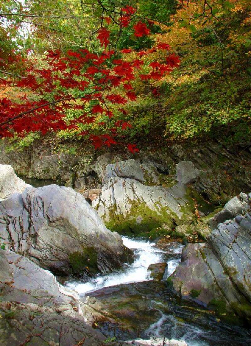【首发】本溪大冰沟森林公园