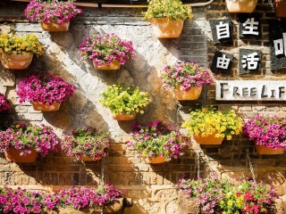 旅游去云南麗江_去云南麗江靠譜的旅行團(tuán)_2021去云南麗江跟團(tuán)多少錢