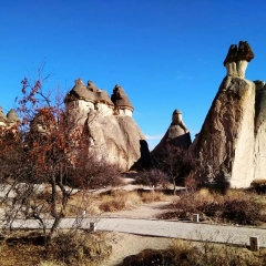 景点模块 