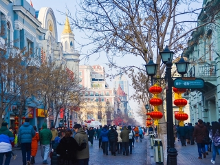 至哈尔滨跟团游_哈尔滨旅游报团_哈尔滨10日游旅行团
