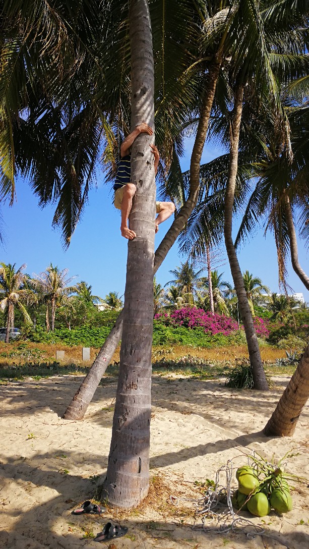 我们在海口,春节想去三亚,5大1小,我心仪蜈支洲