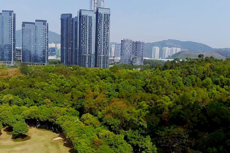深圳小孩游玩攻略必去的地方,深圳小孩玩的地方哪里好玩