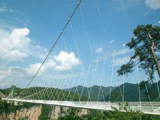 張家界旅游價格多少_旅游團張家界_張家界旅游需要多少錢