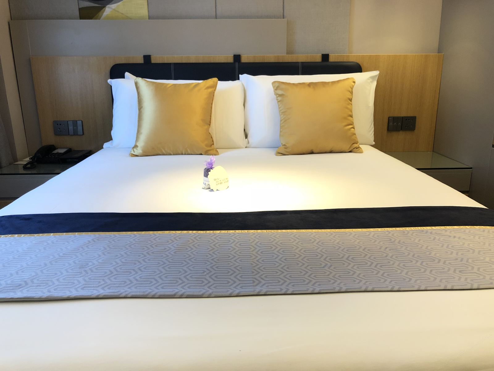 助眠商务房