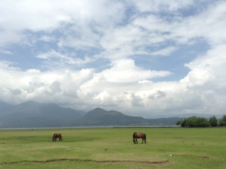 去香格里拉旅游多少钱_香格里拉那个旅行团好_香格里拉不跟团旅游