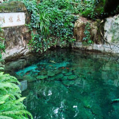 景点模块 
