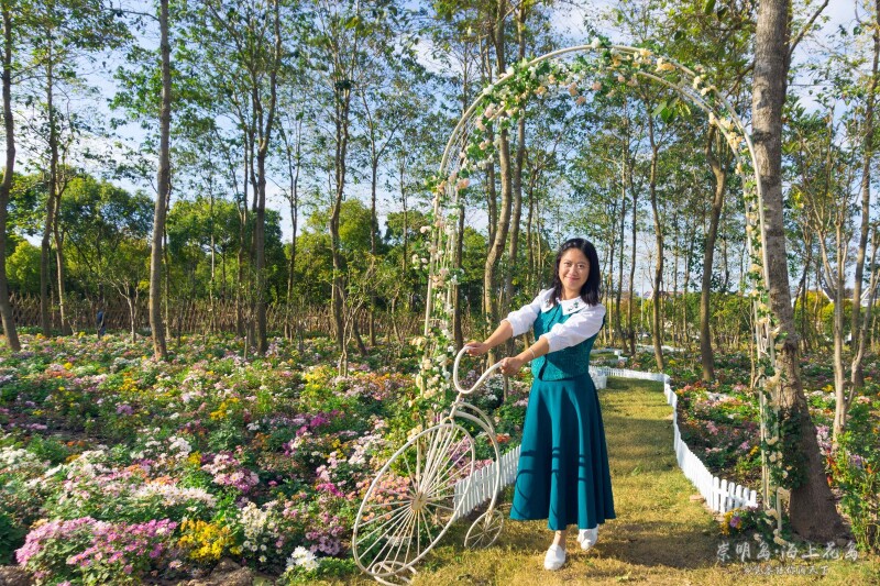 鸿运必胜# 崇明岛|如痴如梦海上花岛
