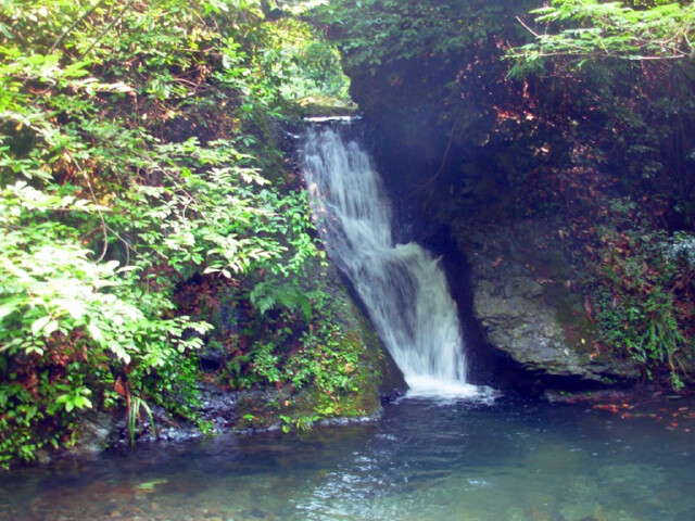  宁国夏霖九天银瀑1日游>门票已含,另含景交及特色中餐一份,激情九天