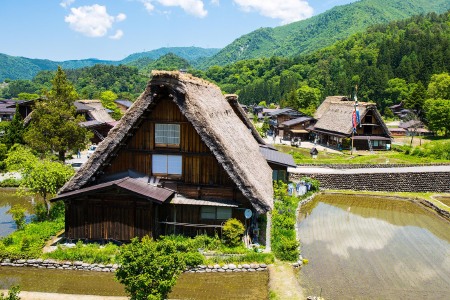 [端午]<日本富山高山名古屋5日游>精品团，当地参团