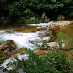 景点模块 