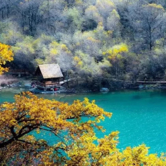 景点模块 
