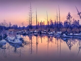 東北長(zhǎng)白山旅游多少錢一個(gè)人_東北長(zhǎng)白山旅行團(tuán)自由行_現(xiàn)在去東北長(zhǎng)白山旅游多少錢