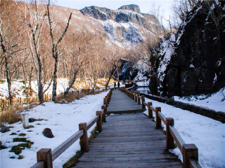 東北長(zhǎng)白山旅游多少錢一個(gè)人_東北長(zhǎng)白山旅行團(tuán)自由行_現(xiàn)在去東北長(zhǎng)白山旅游多少錢