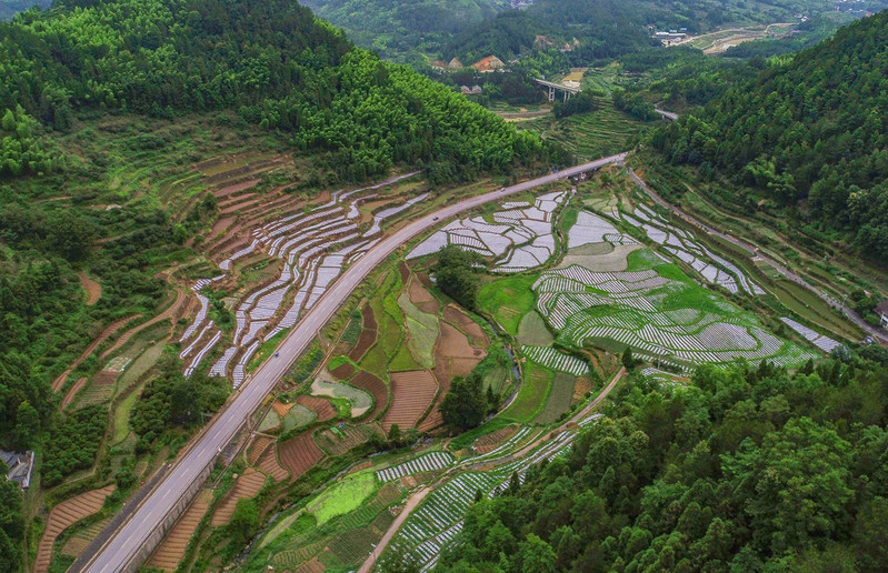 航拍文成让川村 层层梯田犹如洒落在温州西部山涧的艺术珍品