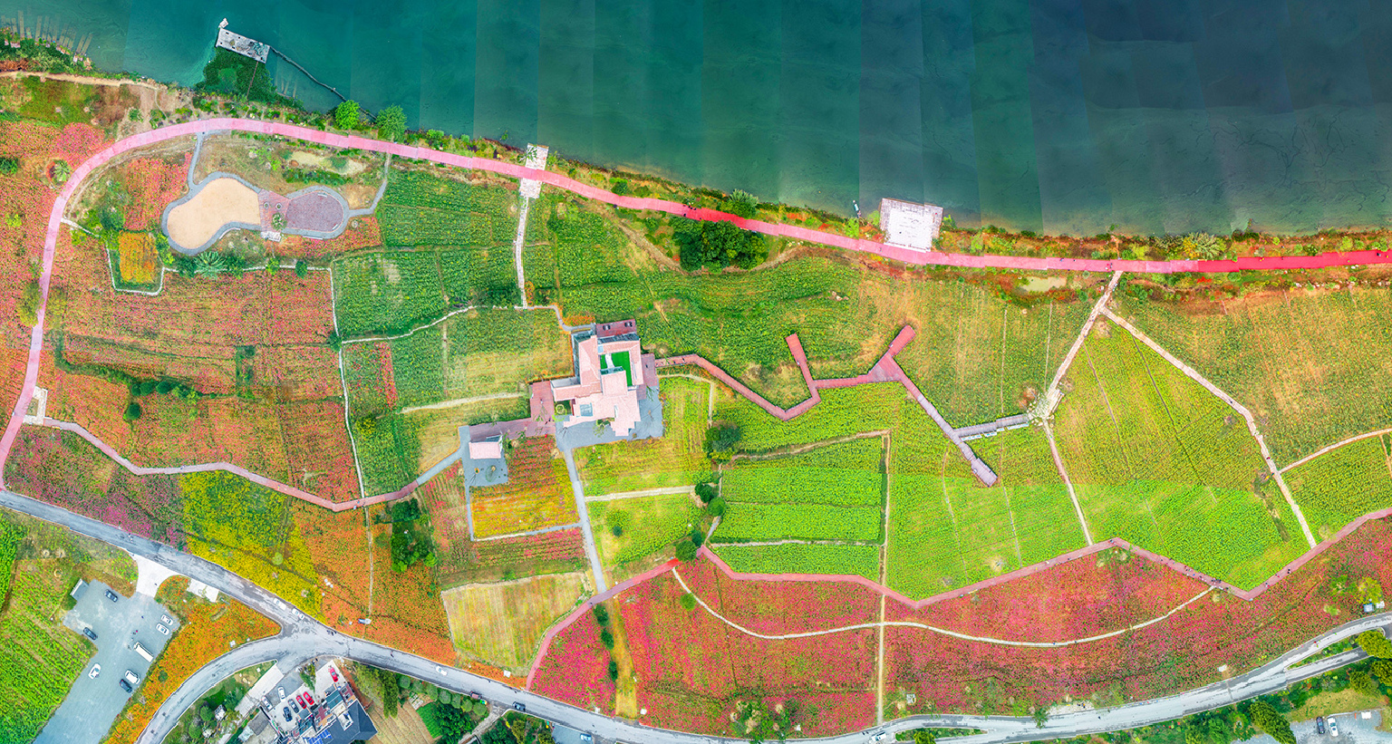 杭州建德下涯黄饶半岛千亩花海盛开迎万方客来