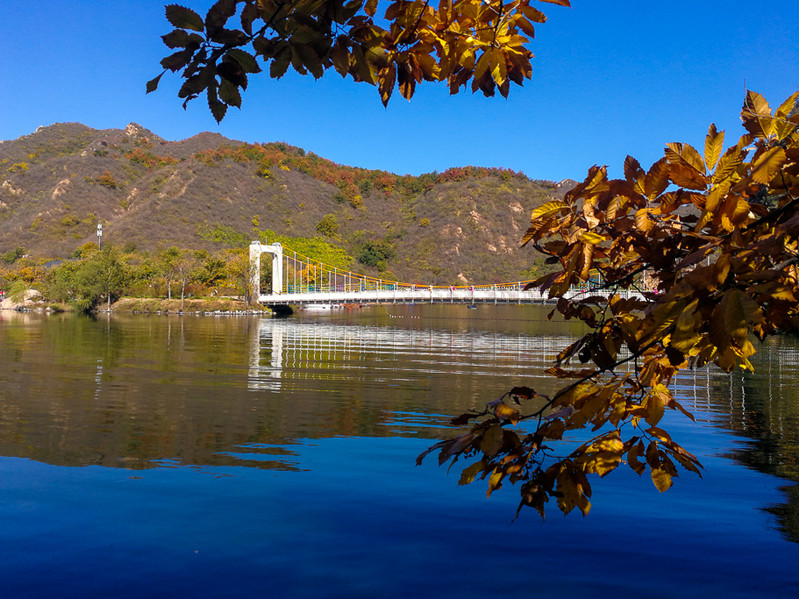 重阳节郊游登高处 赏黄花城水长城秋景(手机随拍)