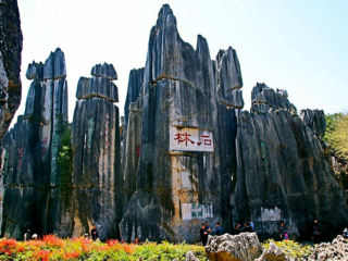 去丽江旅游的旅行团_深圳-丽江旅游_丽江旅游会议
