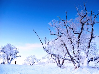 組團(tuán)去東北長白山_跟團(tuán)東北長白山旅游價格表_東北長白山九月旅游