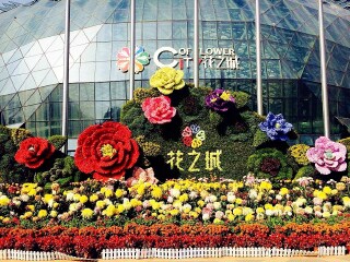 国庆西双版纳游价格_深圳出发到西双版纳旅游_西双版纳游组团