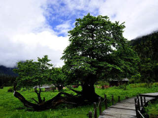 西藏拉薩八月份旅游_廣州西藏拉薩旅游團_西藏拉薩旅游費用