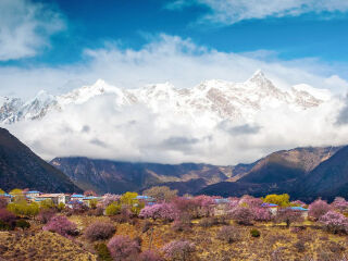 西藏拉薩八月份旅游_廣州西藏拉薩旅游團_西藏拉薩旅游費用