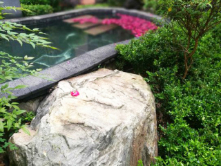 今年去腾冲旅游_腾冲六日旅游_腾冲旅游几月份最便宜