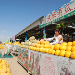 活动模块 