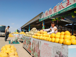 甘肅敦煌組團(tuán)旅游_甘肅敦煌旅游費(fèi)用_甘肅敦煌旅行跟團(tuán)