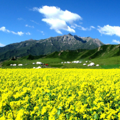 景点模块 