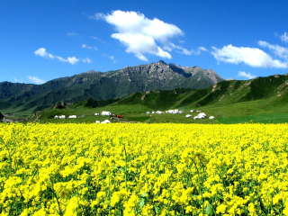 青海旅游路線_去青海游怎么省錢_去青?？孔V的旅行團