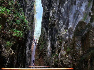 8月張家界旅游_張家界過春節(jié)旅行團_去張家界報團多少錢