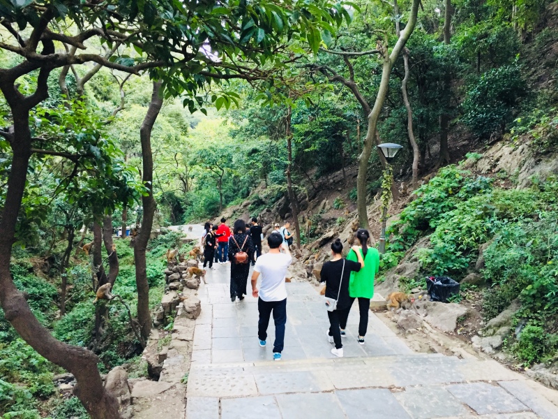        黔灵山公园