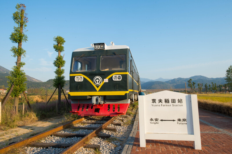 袁夫稻田_黄梅县动态_途牛
