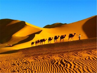 过年去额济纳旗胡杨林旅游团_额济纳旗胡杨林七日游_几月份去额济纳旗胡杨林旅游好