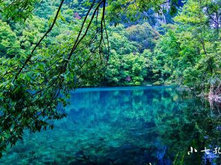 貴州黃果樹瀑布最適合旅游的季節(jié)_貴州黃果樹瀑布游8月份報價_貴州黃果樹瀑布自由行還是跟團(tuán)好