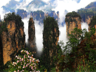 湖南張家界旅游要多少錢跟團(tuán)_湖南張家界八月份旅游_湖南張家界半自由行